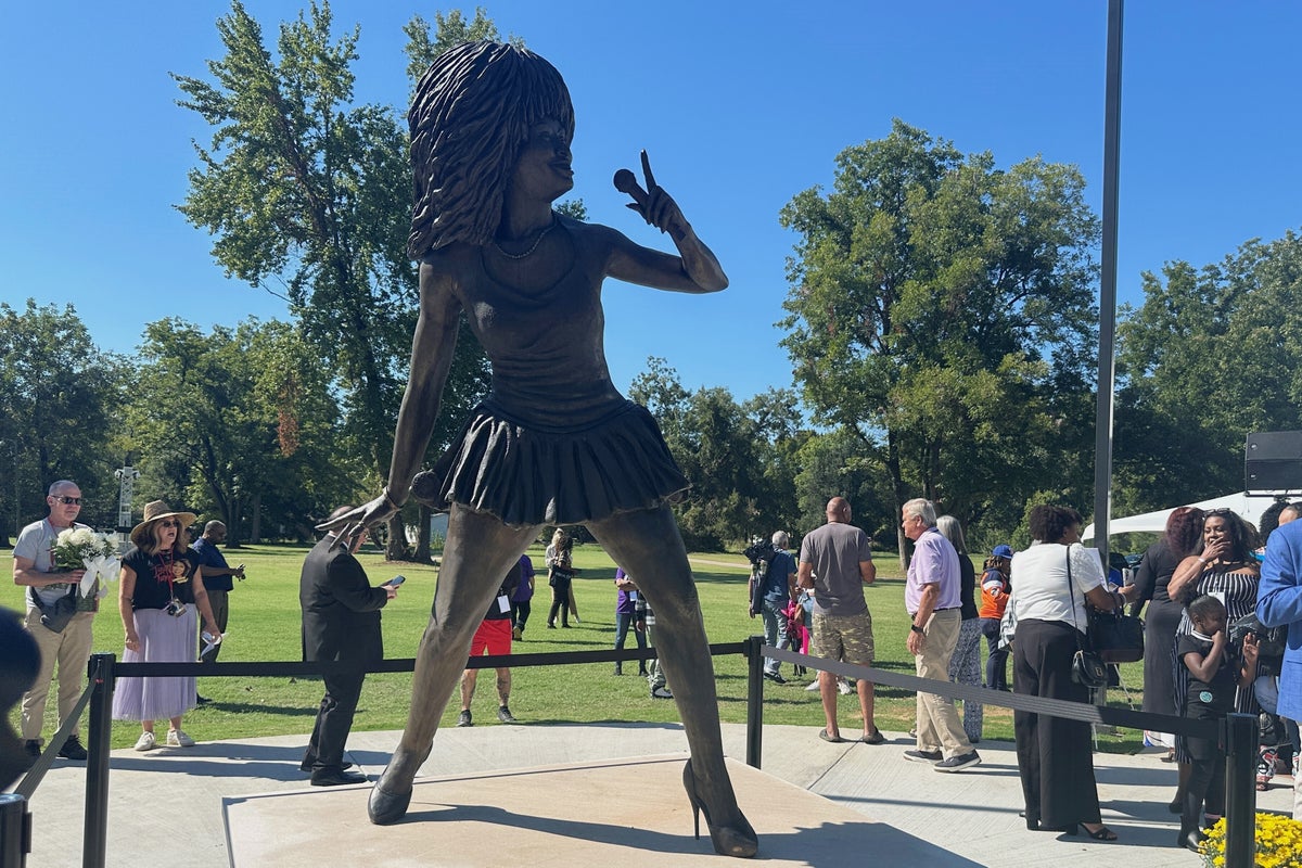 Why Tina Turner’s memorial statue has been slammed by music fans