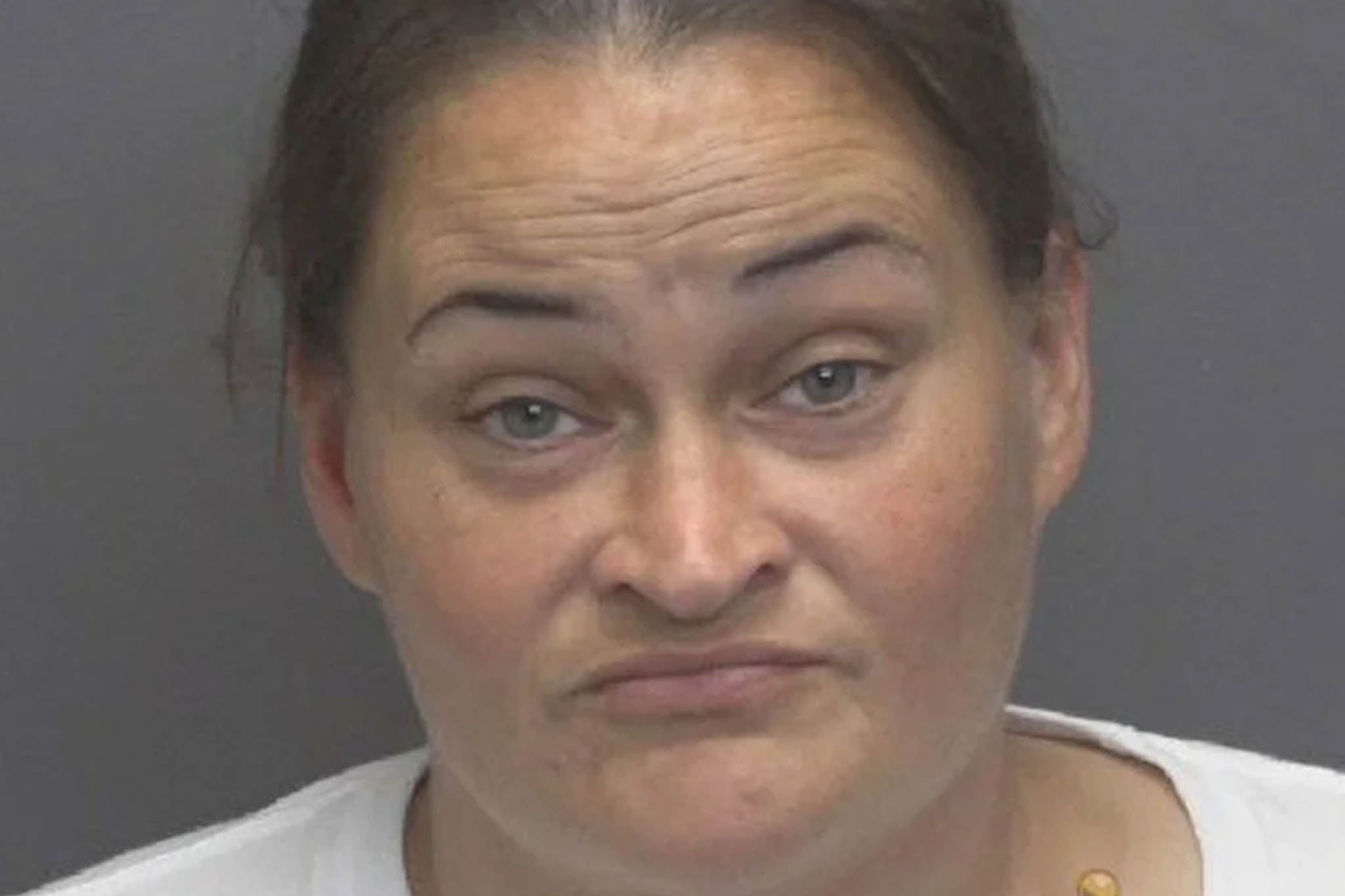 Ashley Ellis, 42, was taken into custody on Thursday as police accused her of child neglect.