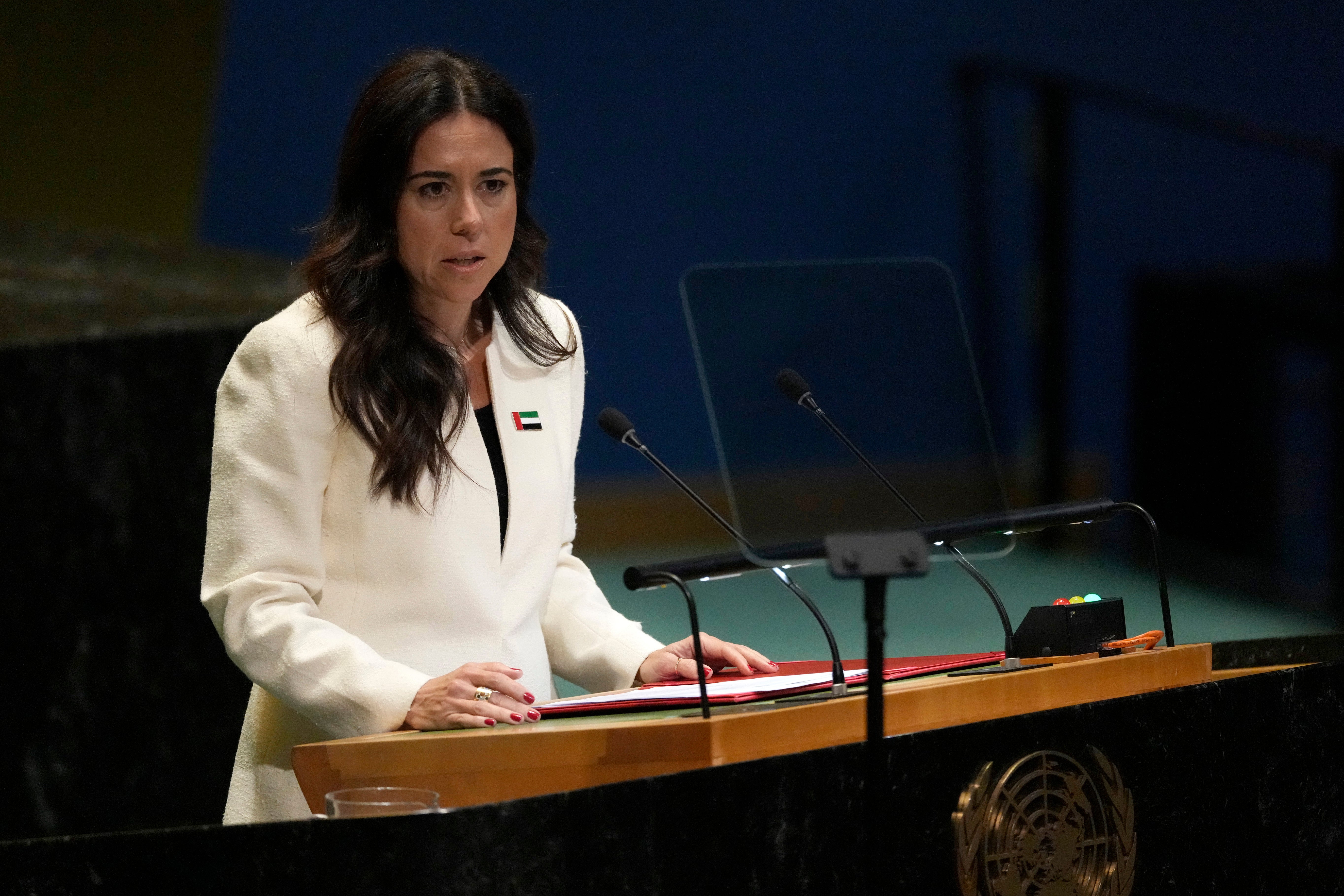 ONU ASAMBLEA ORIENTE MEDIO