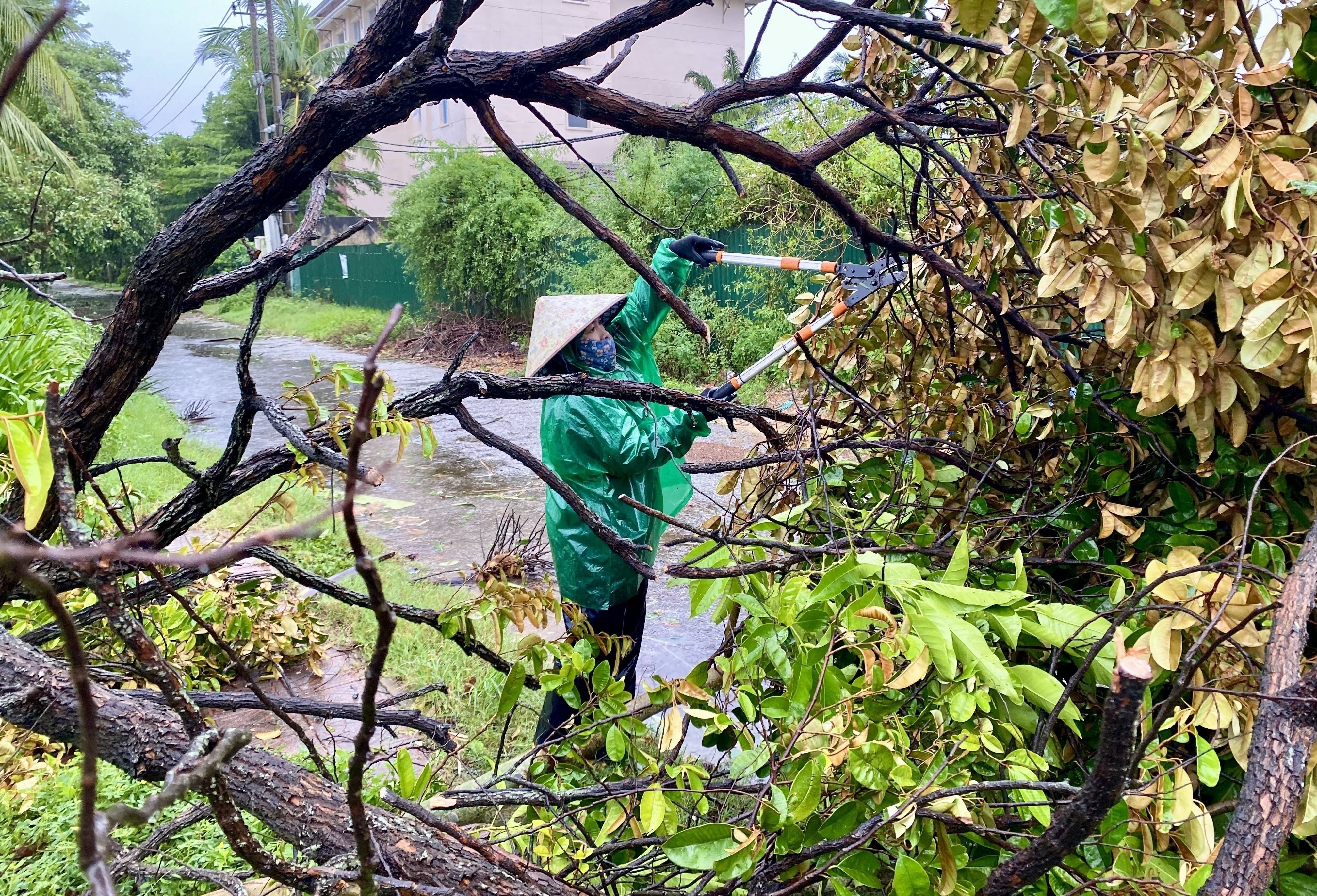 A woman removes a broken tree in the aftermath of Bualoi in Quang Tri, Vietnam