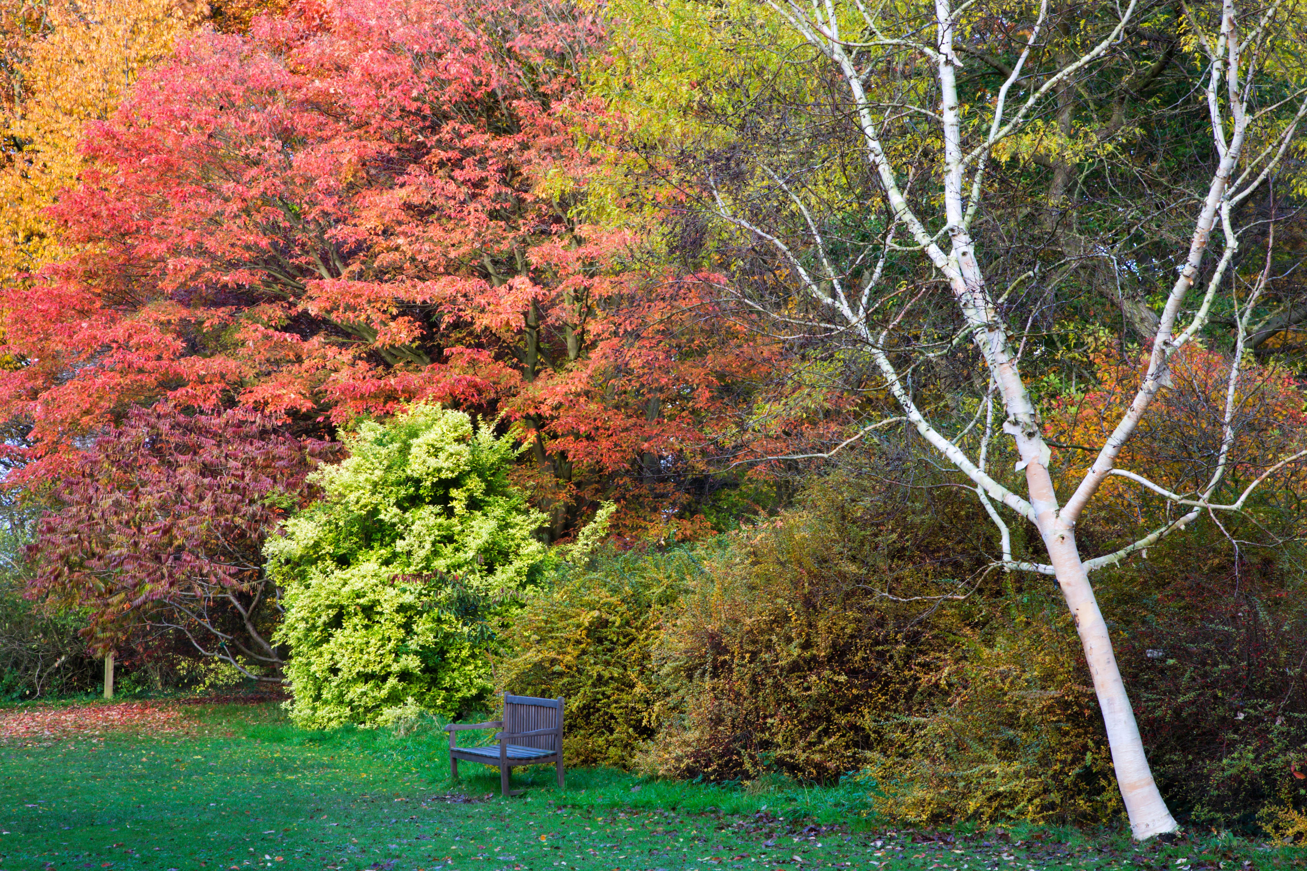 Thorp Perrow Arboretum, North Yorkshire