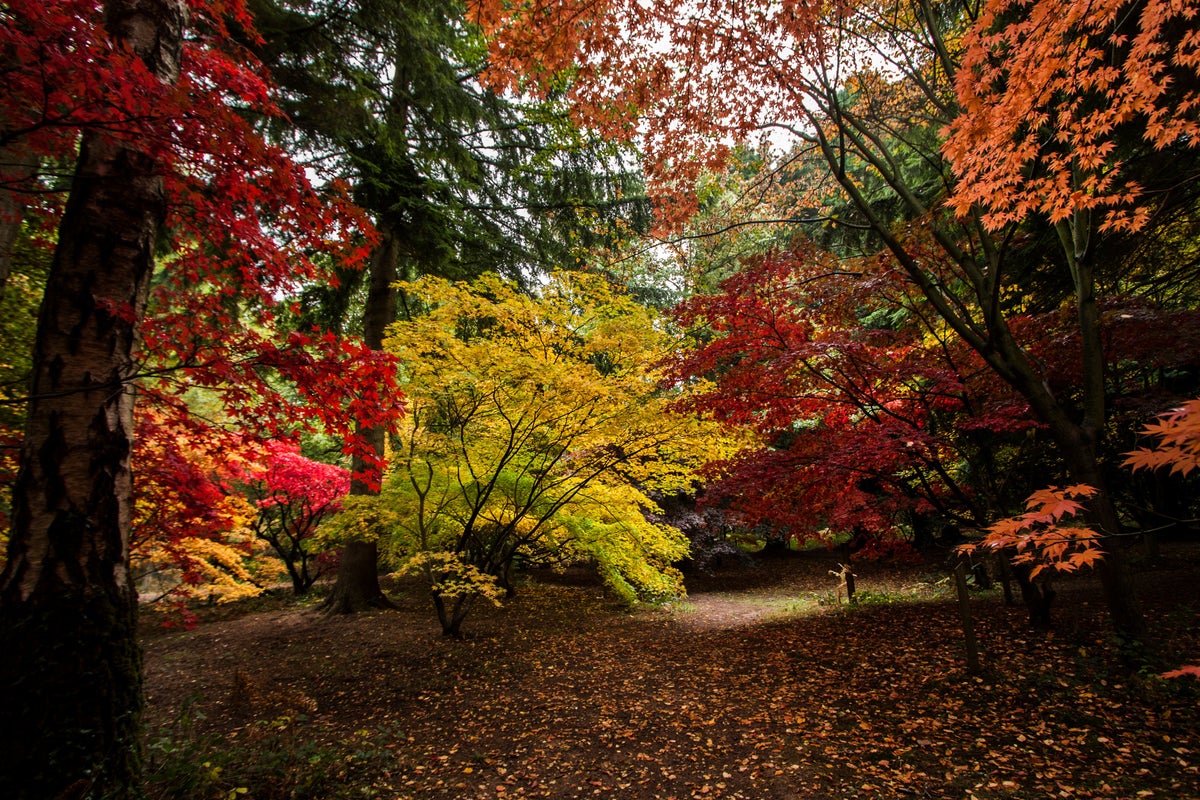11 top arboretums to visit this autumn 11 top arboretums to visit this autumn