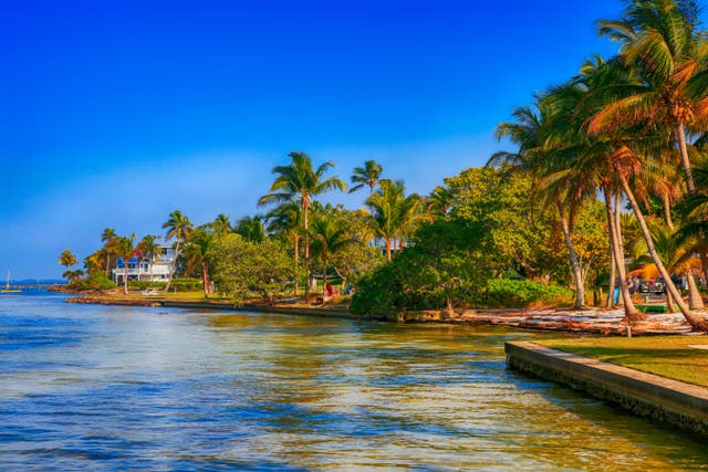 <p>View of the coastline of Pine Island at Bokeelia in SW Florida</p>