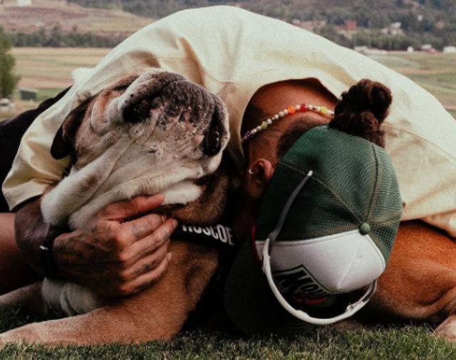<p>Lewis Hamilton's beloved dog Roscoe has died</p>