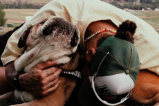 Lewis Hamilton’s dog Roscoe dies with F1 star posting heartbreaking tribute