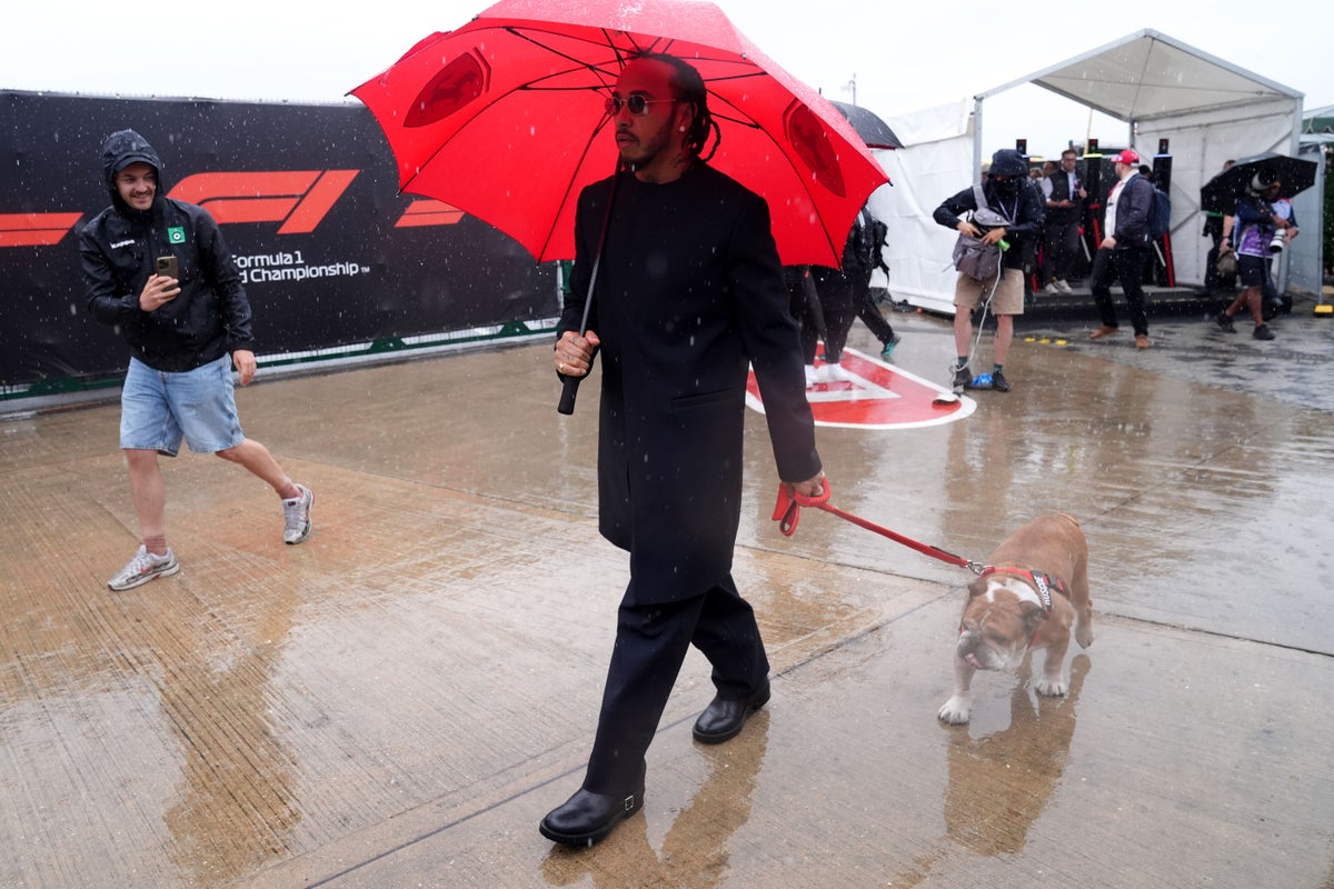 Lewis Hamilton Confirms Death of Beloved Dog Roscoe After Pneumonia Battle