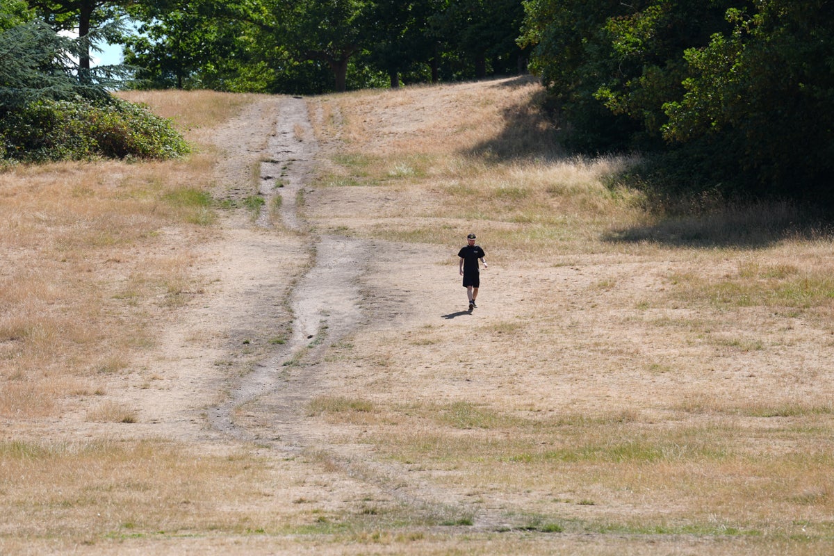 Food shortages could hit supermarkets if no rain in next 10 days in dry areas, say farmers