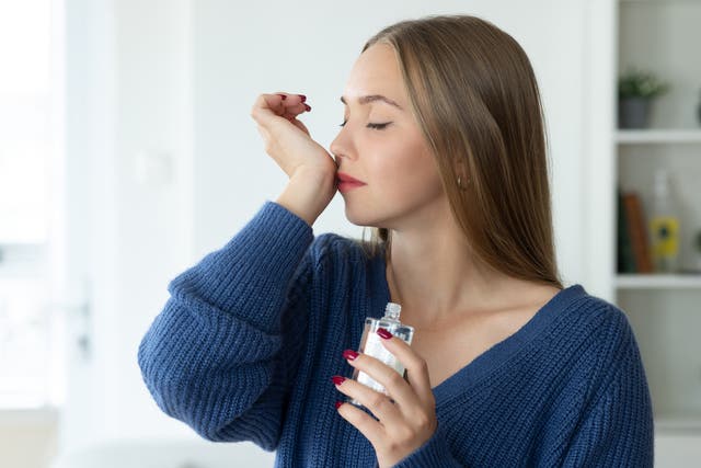 <p>The tree’s leaves are toxic for humans to consume</p>