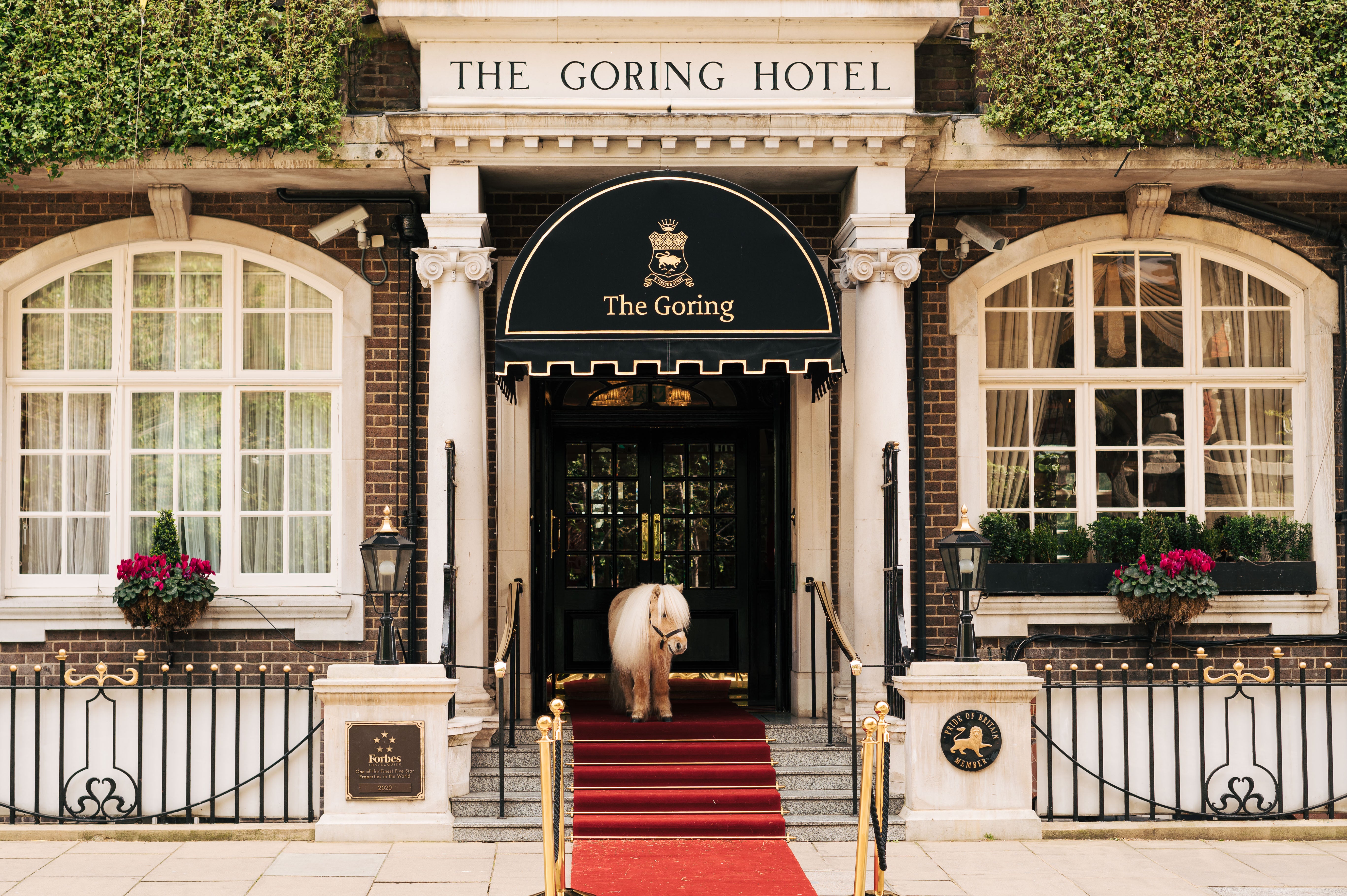 independent.co.uk - Gina Jackson - The best family-friendly hotels in London, picked by a local expert