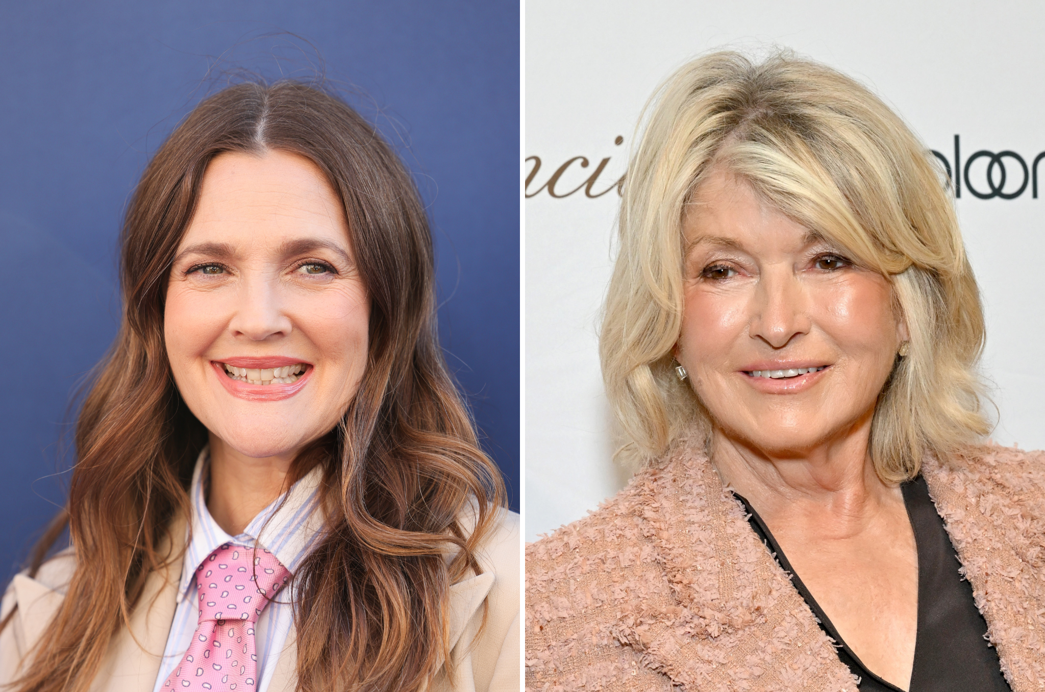 Martha Stewart (right) appeared on Drew Barrymore's talk show last November and gave the host a gentle shove, sparking feud rumors