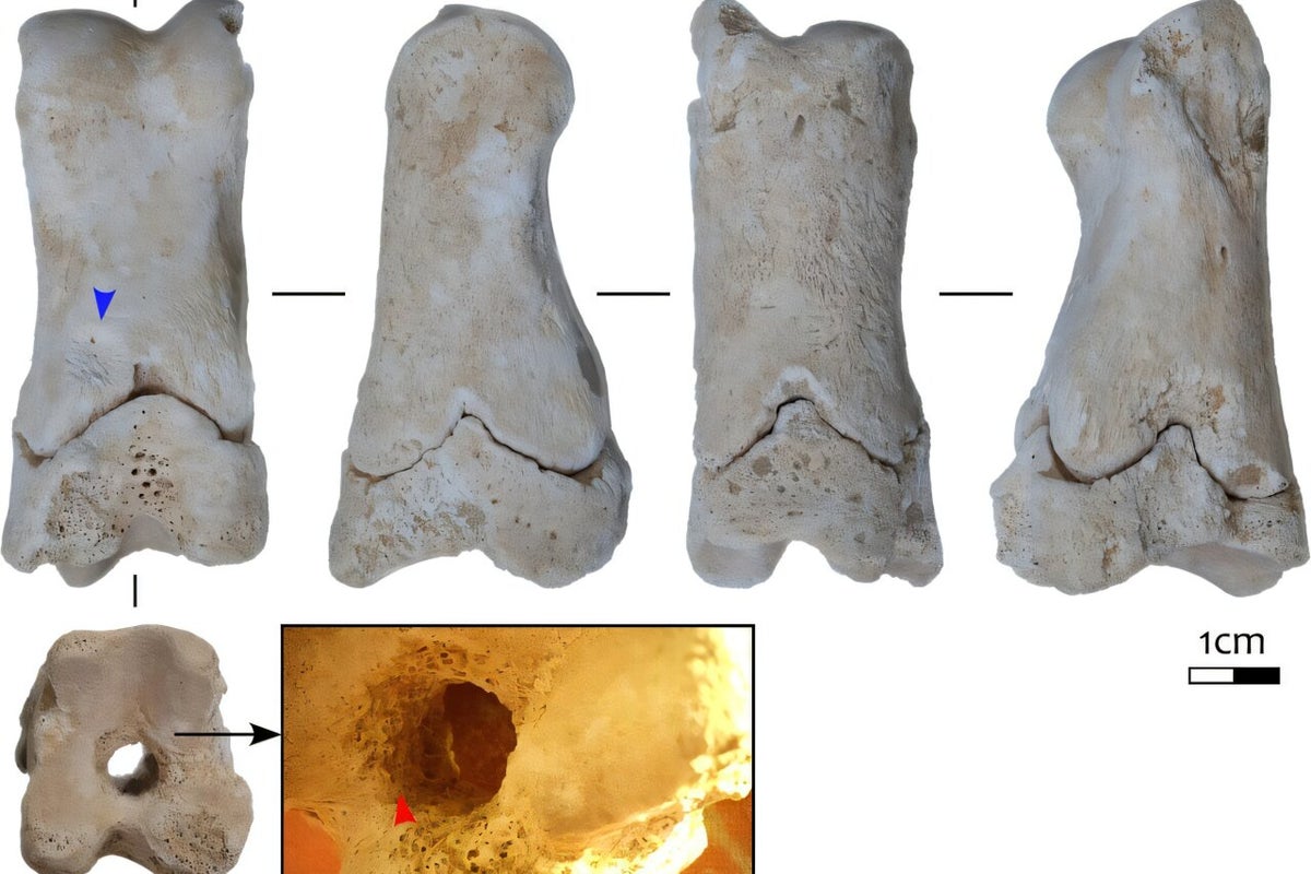 Archaeologists discover artefact historic Egyptian guards used to warn of grave robbers Archaeologists discover artefact historic Egyptian guards used to warn of grave robbers