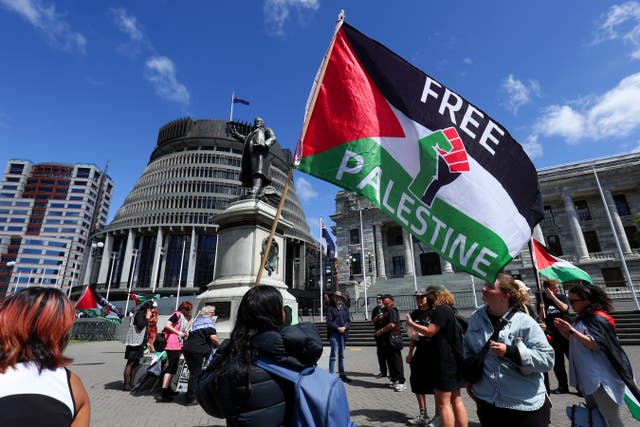 <p>Protestors wave flags during a protest for Palestine at the parliament in Wellington, New Zealand</p>