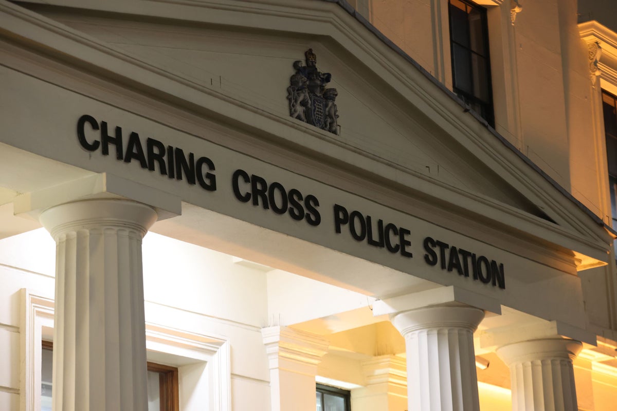 Met officers suspended over undercover documentary showing alleged support for Tommy Robinson