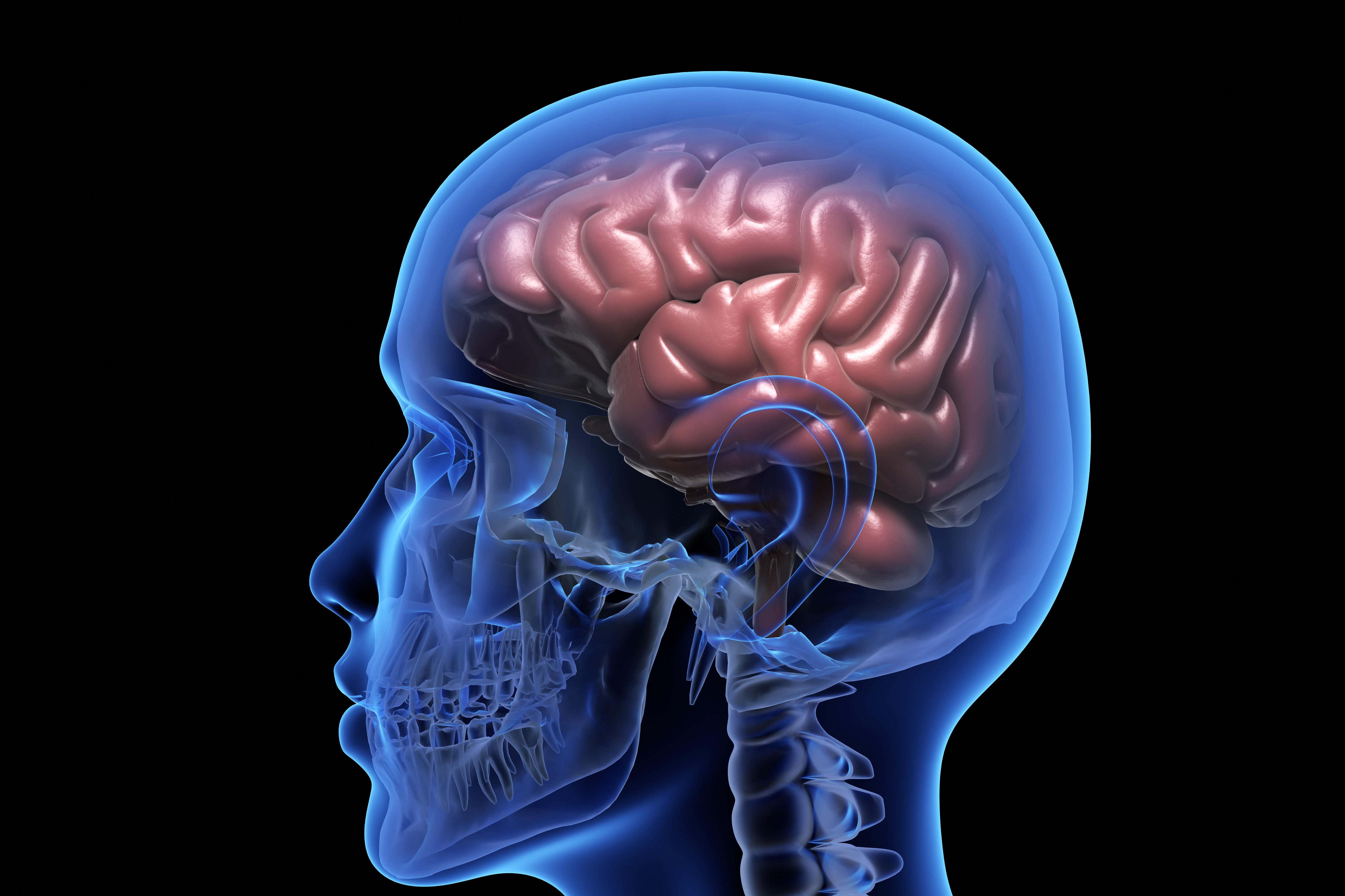 A new study has revealed online brain-training games can improve memory in older people