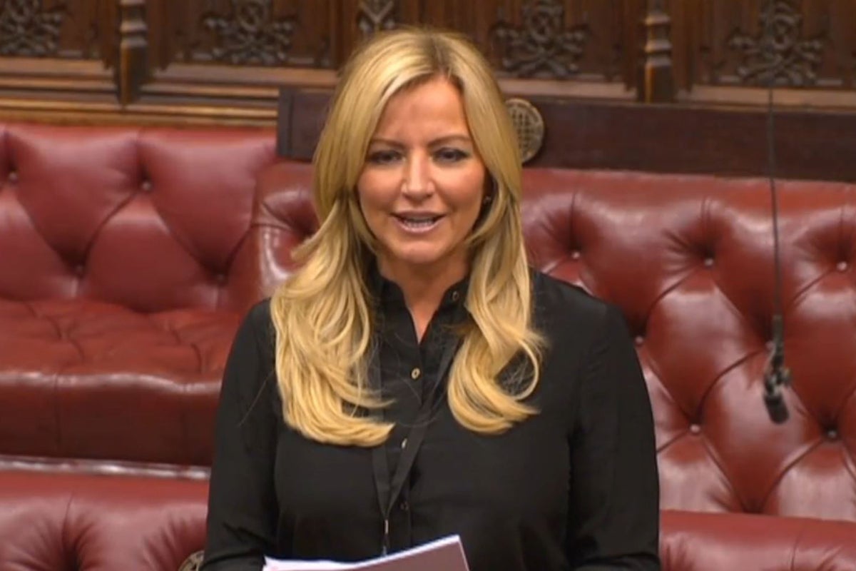 Senior Tory calls for Baroness Mone to resign over PPE scandal