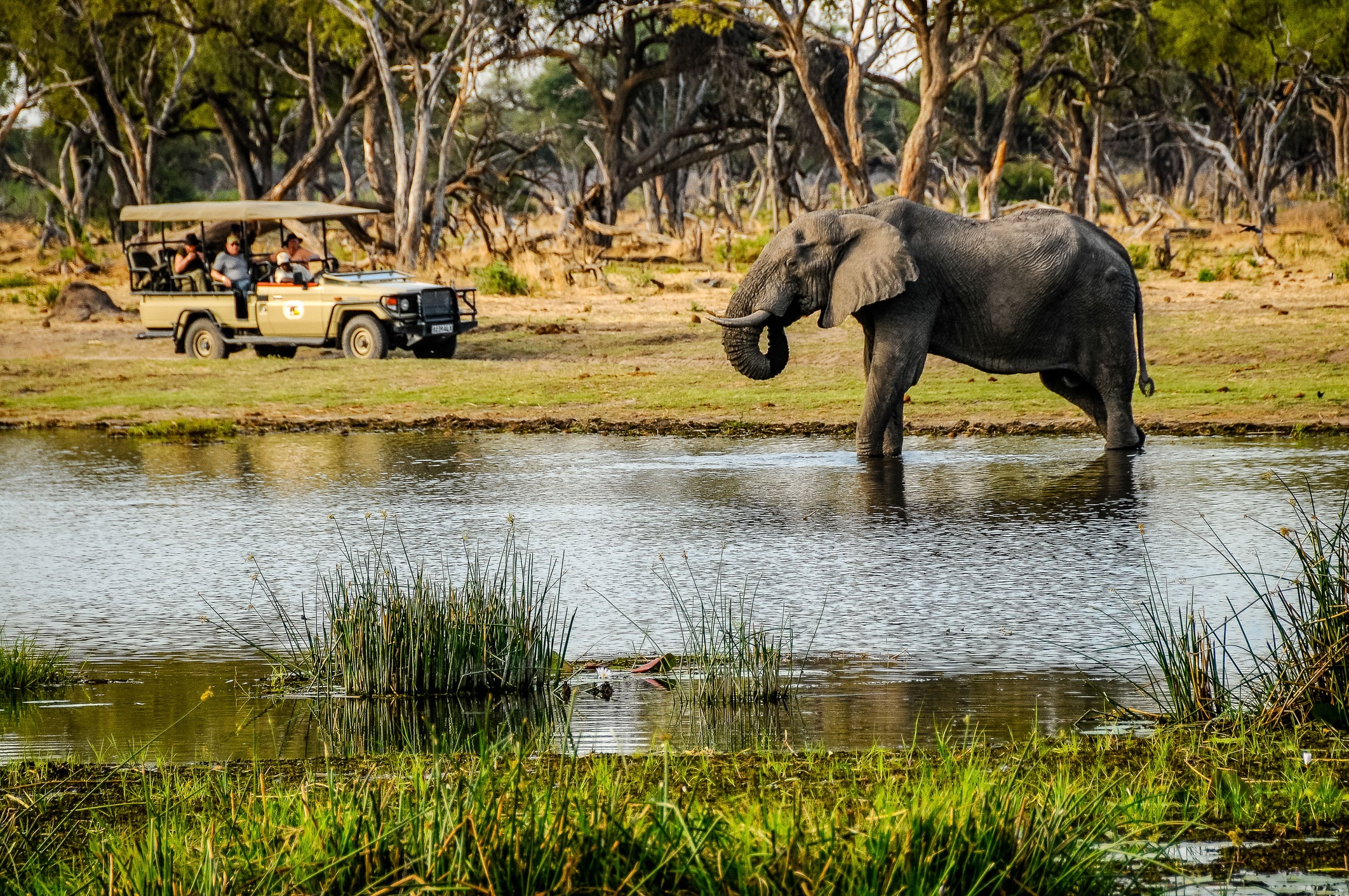 A stay in Botswana’s Okavango Delta is worth the splurge