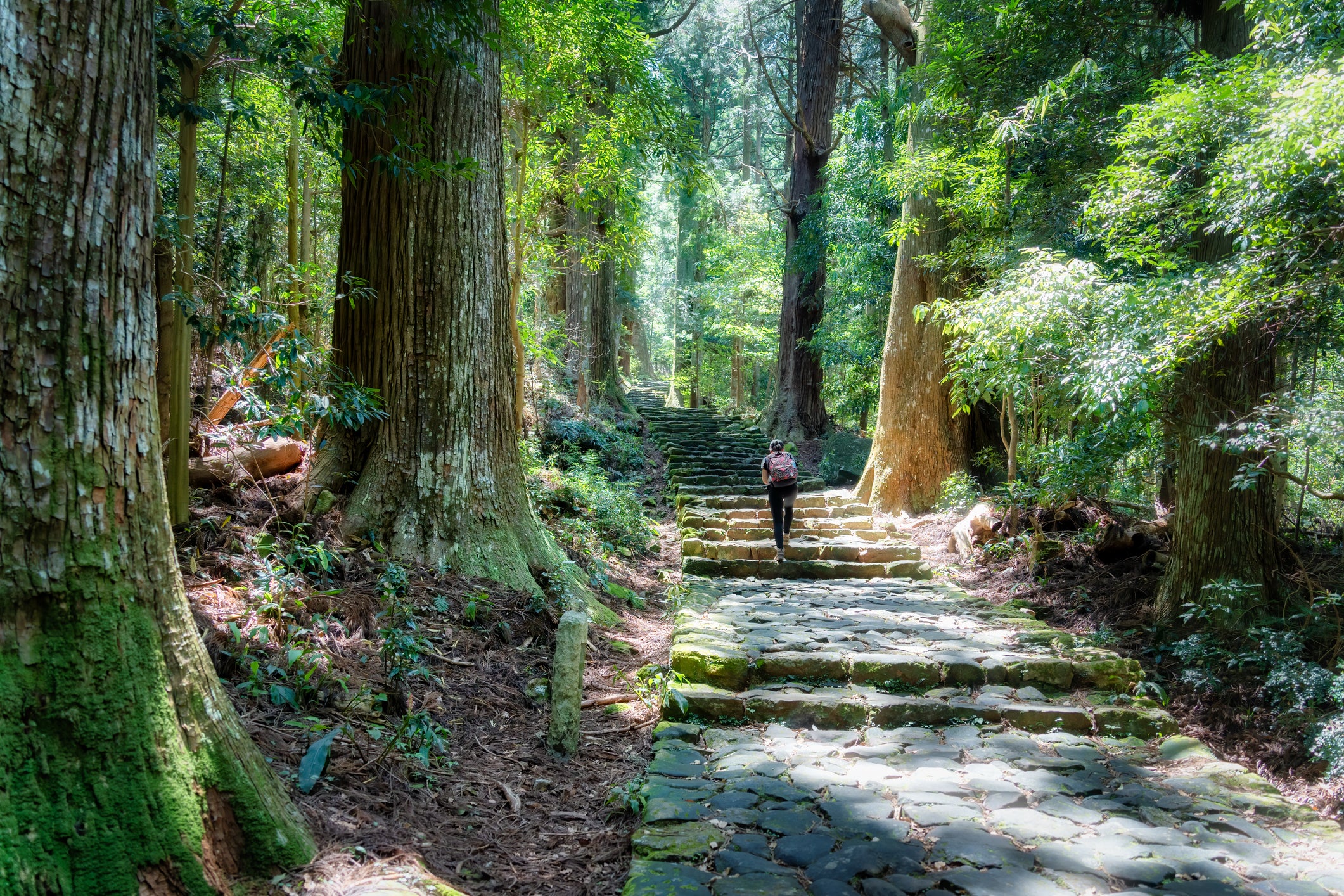 Spend three nights walking the Kumano Kodo