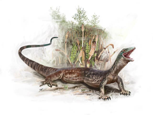<p>An artist’s impression of a Breugnathair elgolensis</p>
