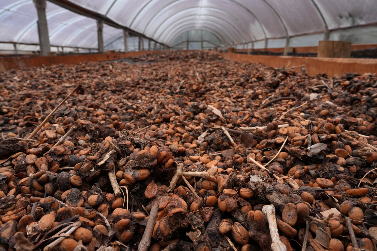 Global Coffee Prices Surge Amid Tariffs, Weather