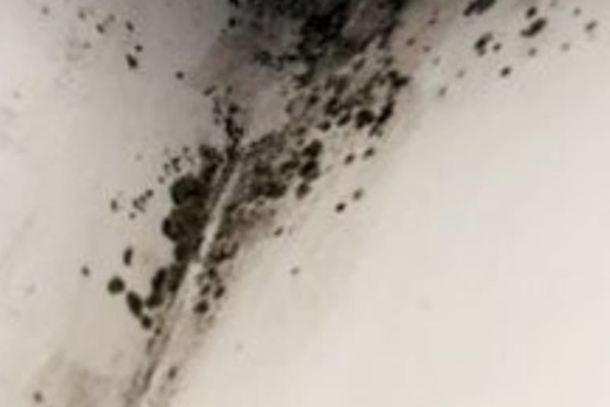 Inside the UK's luxury' migrant hotels