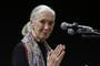 Acclaimed primatologist and conservationist Jane Goodall dies aged 91