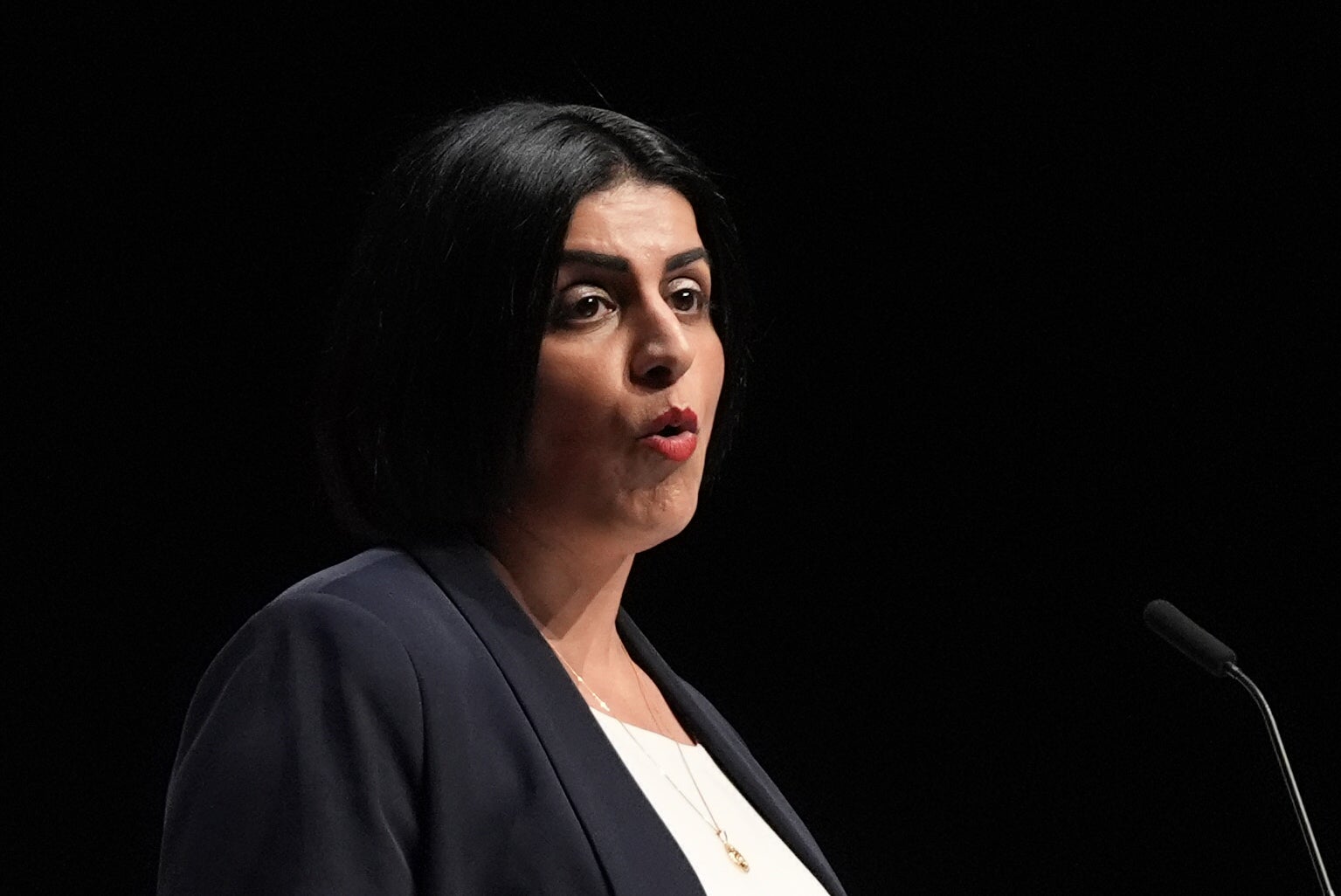 The home secretary called on pro-Gaza demonstrators to cancel protests