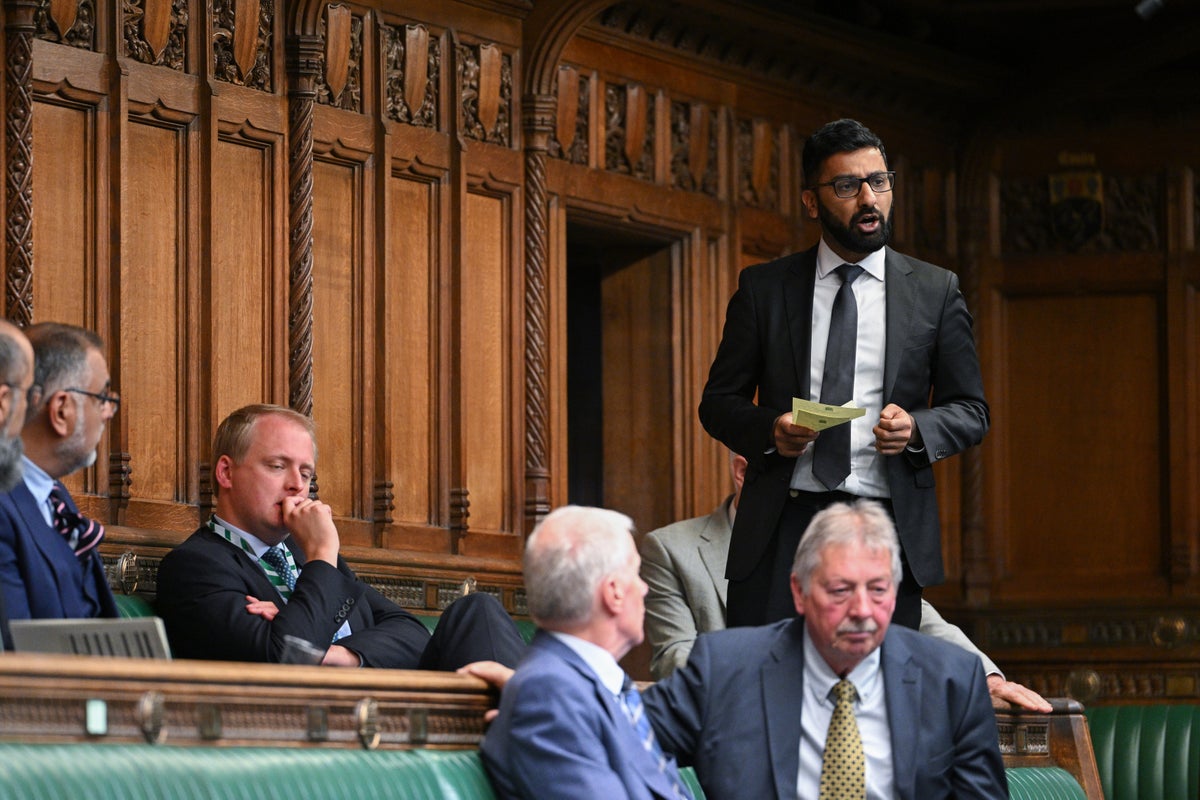 Your Party plunged into fresh chaos as MP quits over persistent infighting'