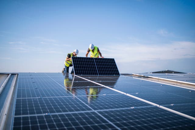 <p>Solar energy became the main source of electricity in the European Union for the first time in June</p>