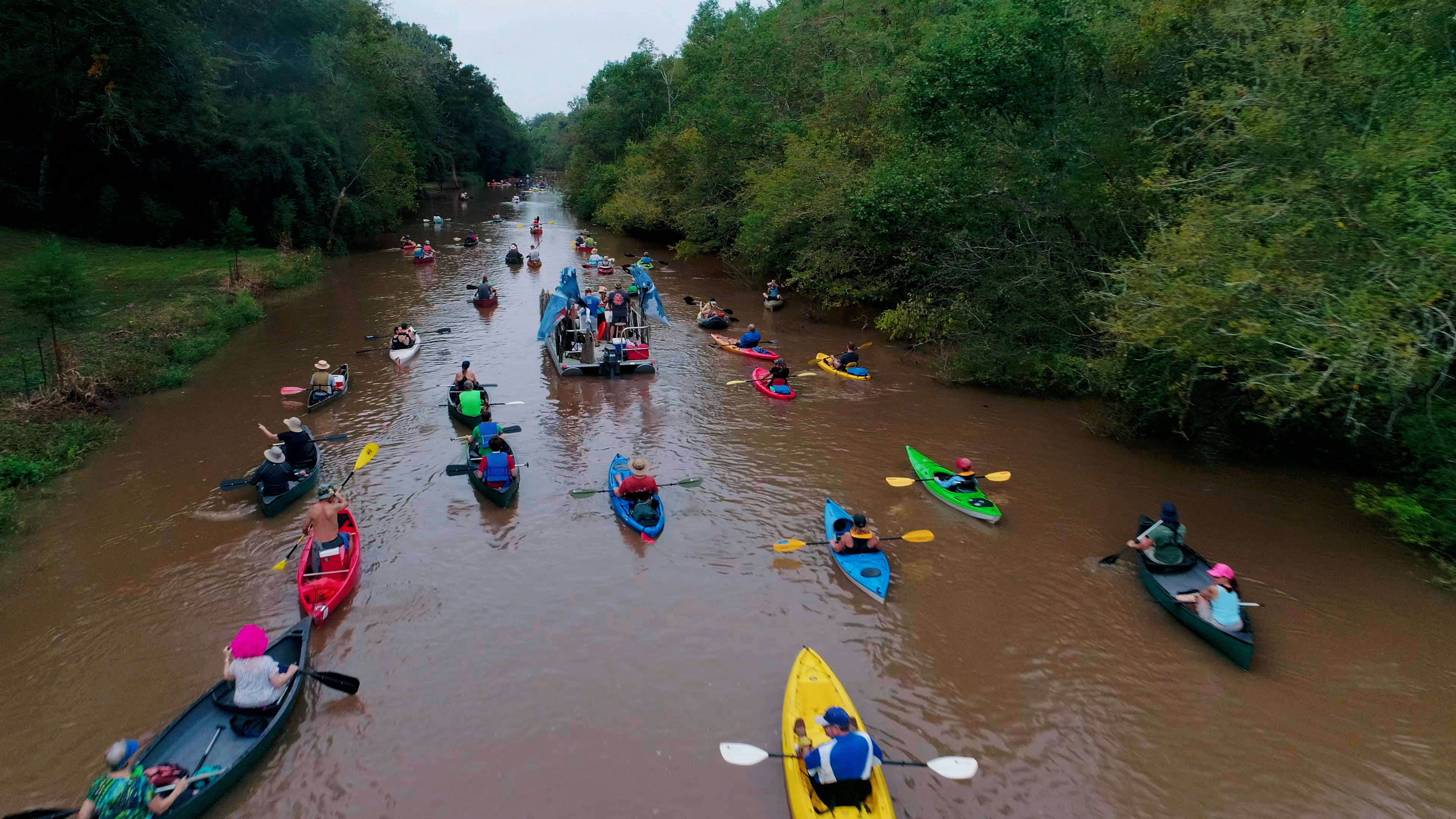 Kayak through the famous bayous of Louisiana for stunning natural perspectives and glimpses of wildlife