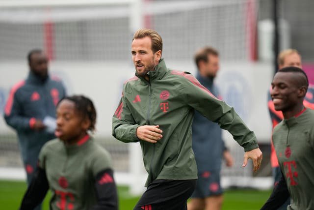 <p>ALEMANIA PANORAMA</p>