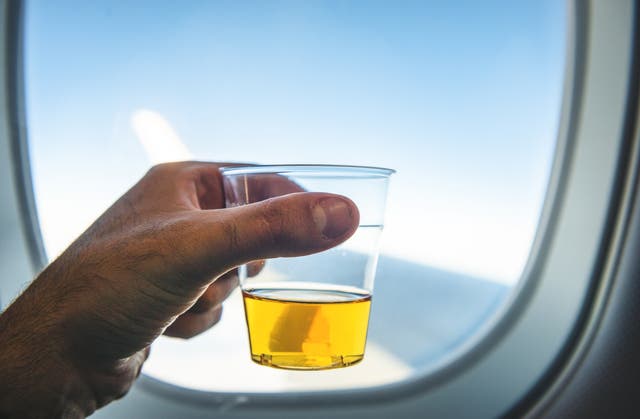 <p>With the change, Air Canada becomes the only North American legacy airline offering free alcohol in economy class on all routes</p>