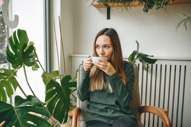 <p>Matcha and green tea come from the same plant. But tea fanatics may want to choose one over the other</p>