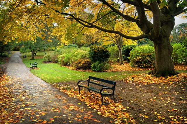 <p>Historic parks and gardens could be threatened by changes to planning rules, a charity has warned</p>