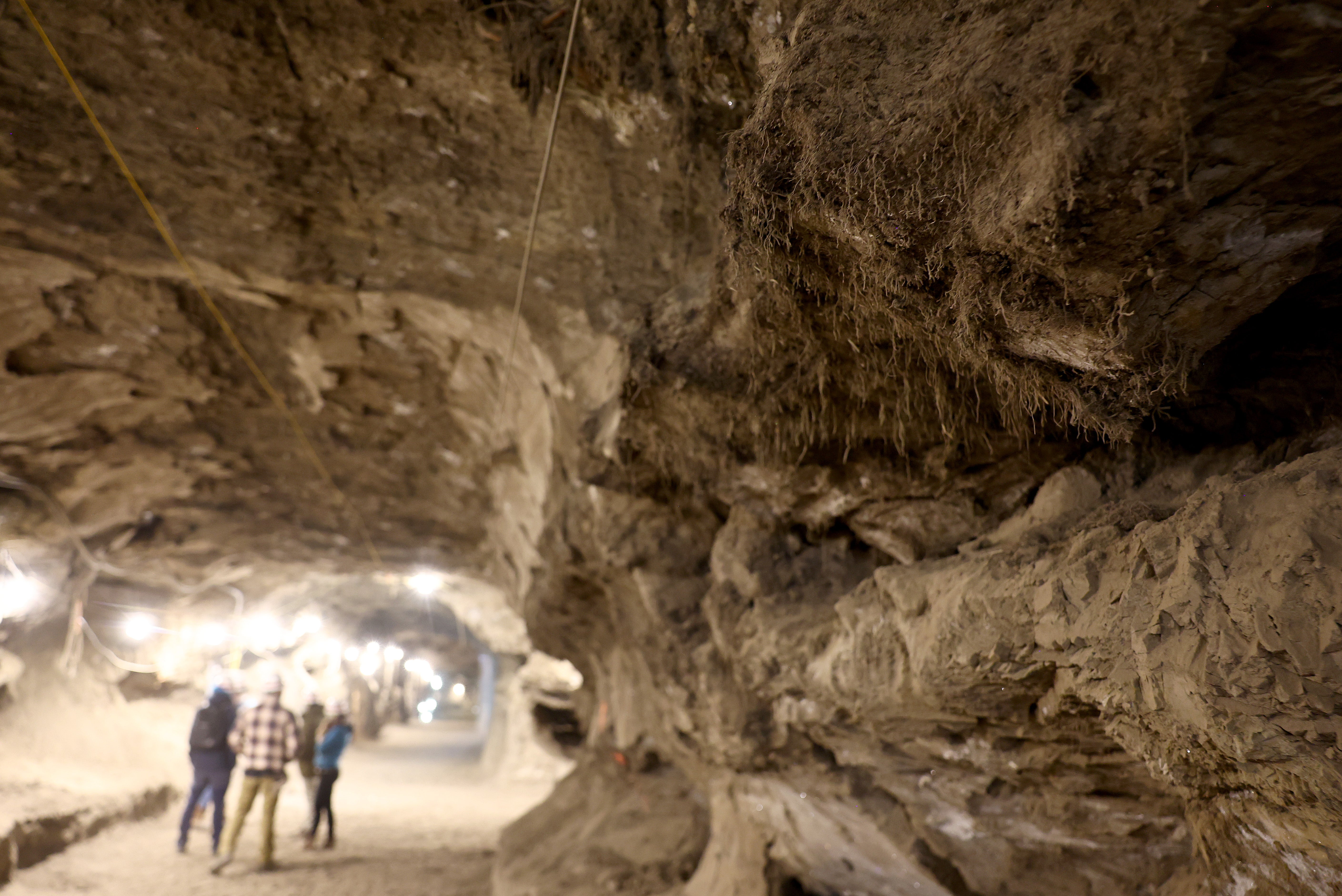 Studying ancient microbes in the permafrost could help us understand potential threats and work to make better antibiotics