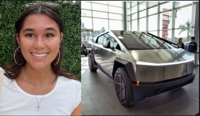 <p>The family of Krysta Tsukahara is suing Tesla after she and two others were killed after a crash last November</p>