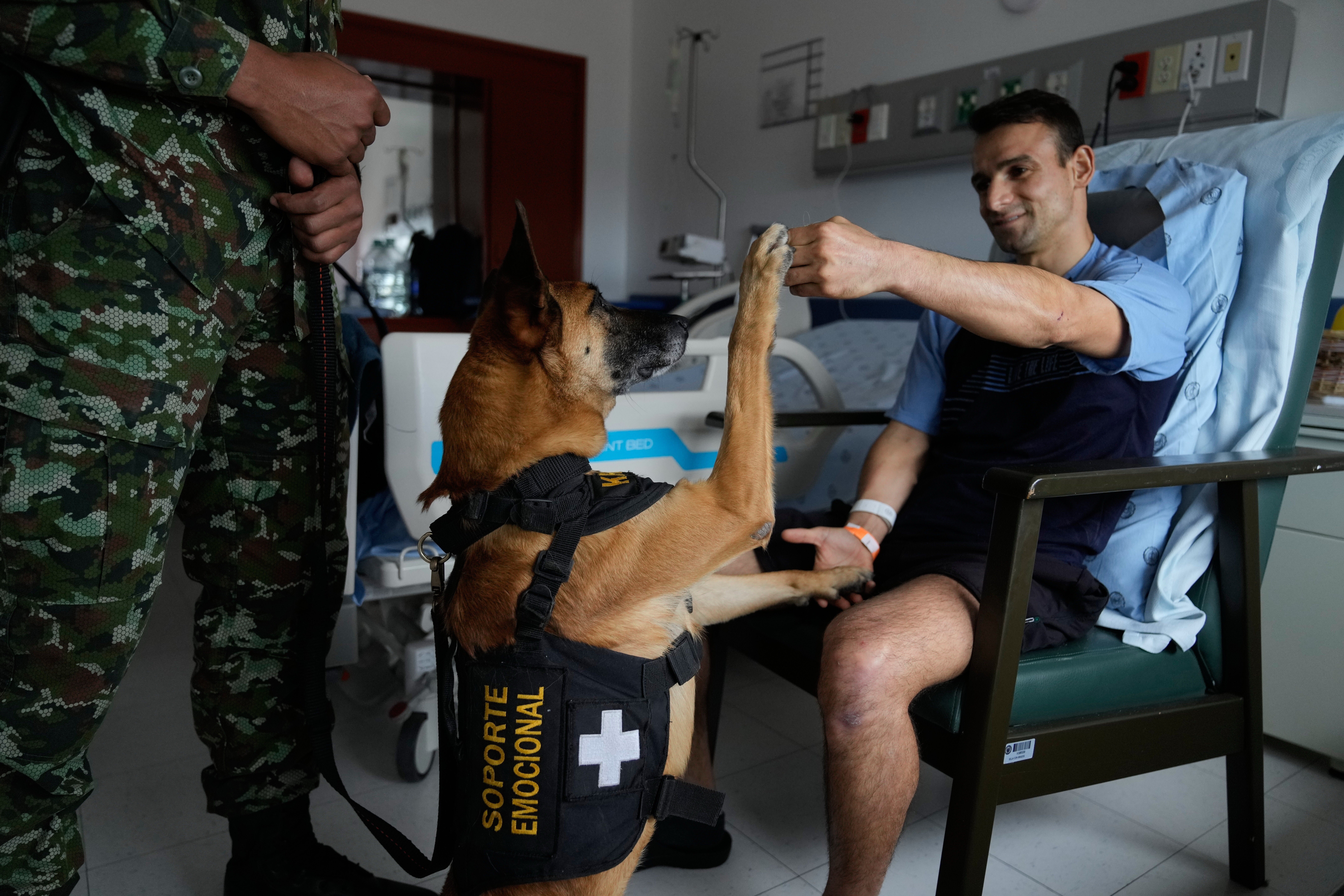 COLOMBIA-MILITARES-PERROS