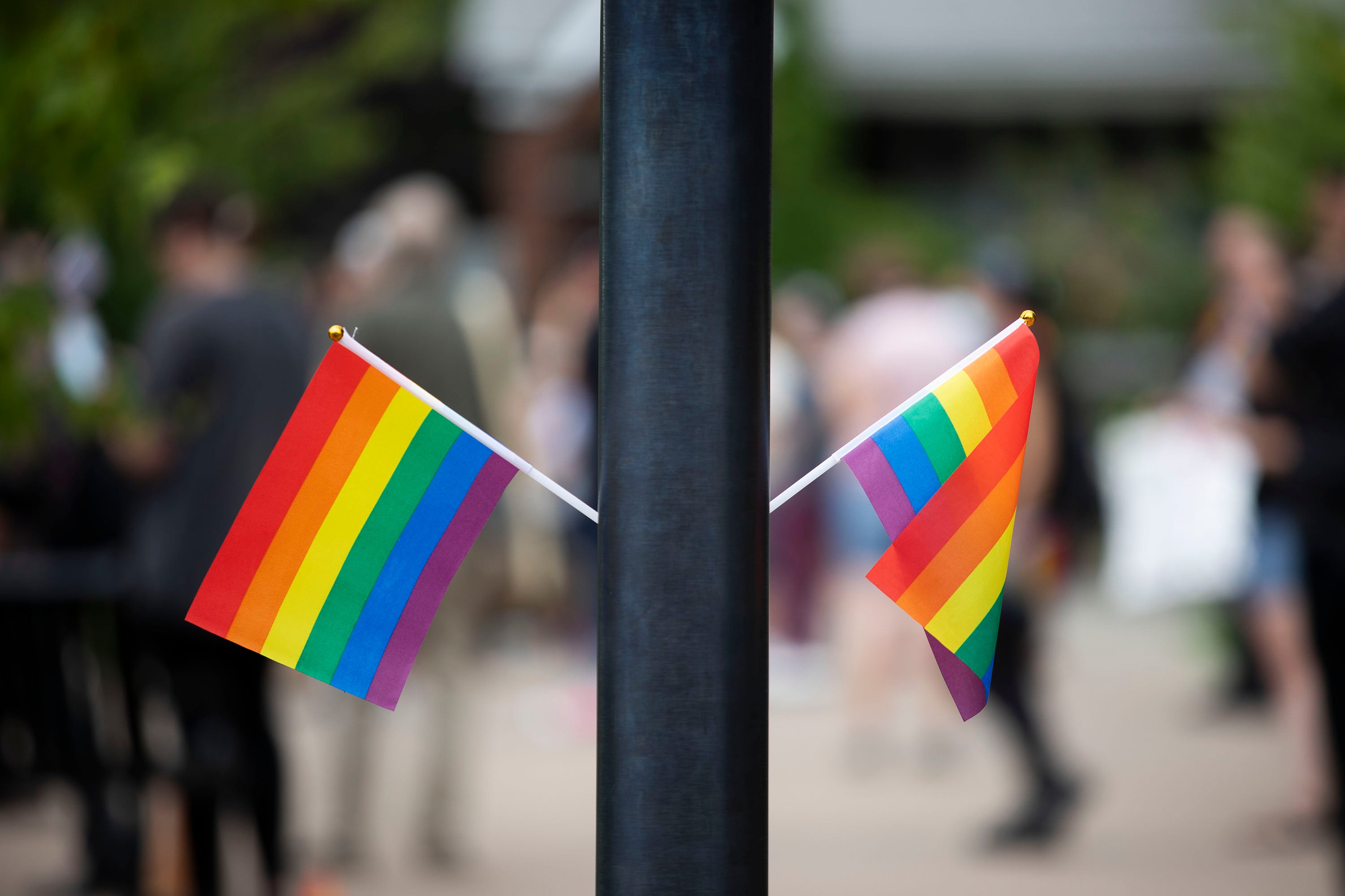 The agent in training, who displayed a gay pride flag on his desk (not pictured), was fired and accused of displaying an improper ‘political’ message in the workplace, according to reports