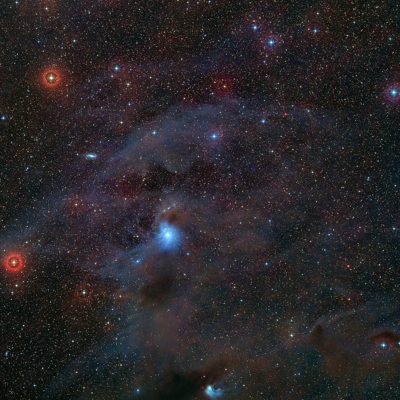 Location in the sky of the rogue planet
