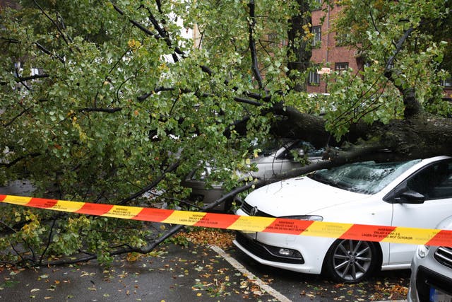 <p>Storm Amy has battered parts of the uk with winds of up to 100mph</p>