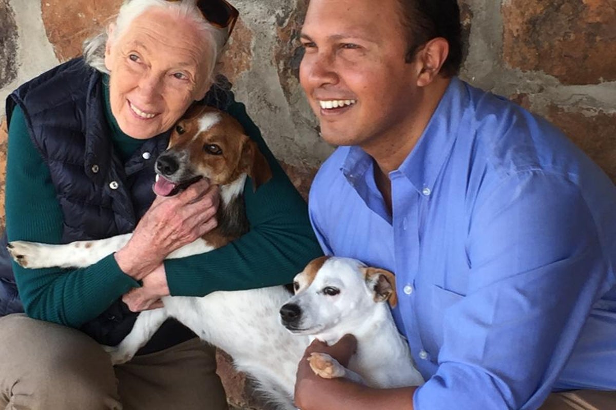 Jane Goodall by her friends: ‘She was a much more complex character than most people might give her credit for’