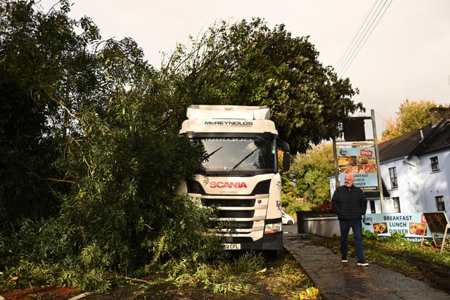 <p>A lorry remains stuck after being hit by a falling tree due to high winds caused by Storm Amy in Antrim, Northern Ireland</p>