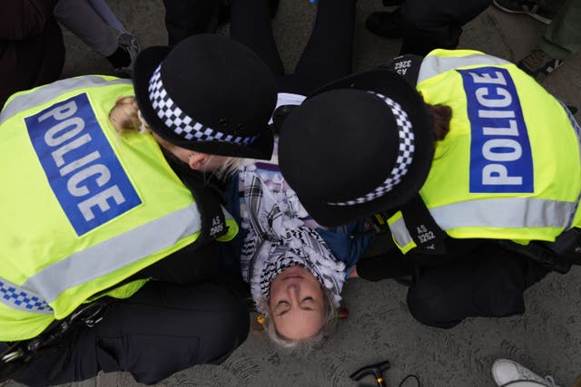 Police remove protesters taking part in a demonstration organised by Defend our Juries, in support of Palestine Action in Trafalgar Square, London (PA)