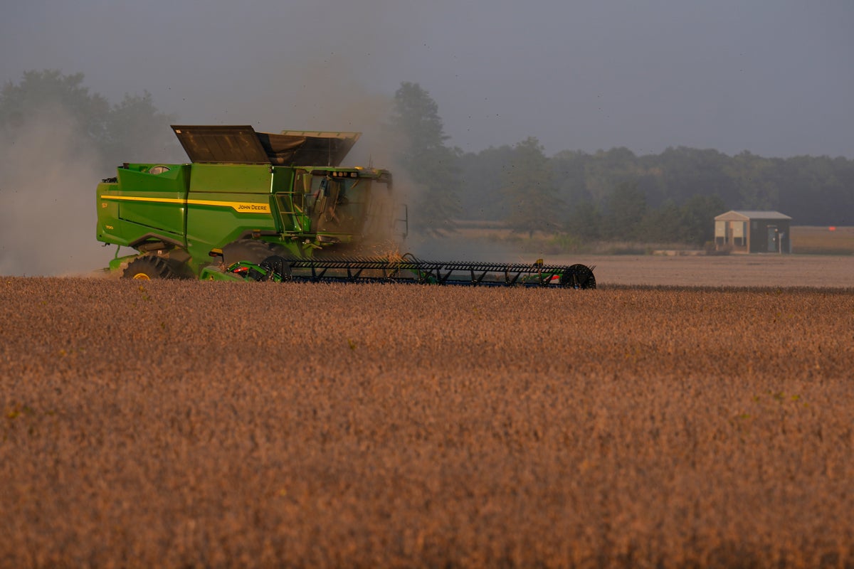 Trump plans aid package for US soybean farmers while seeking trade deal with China