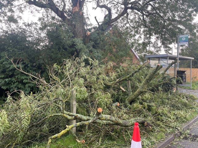 Around 17,000 homes still without power after Storm Amy | The Independent