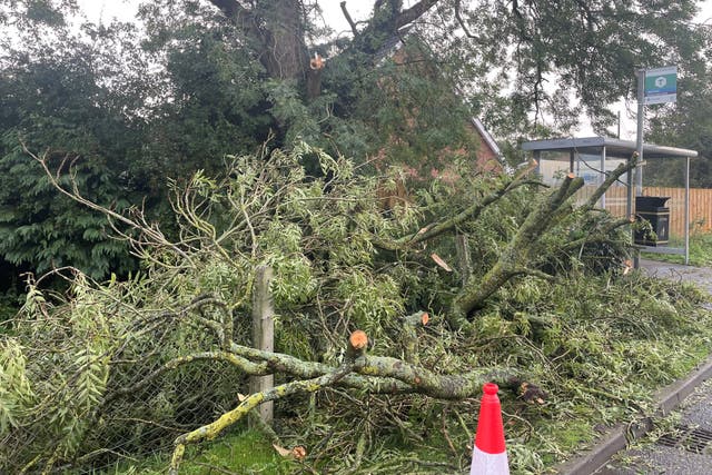 Many roads were blocked by fallen trees (Jonathan McCambridge/PA)