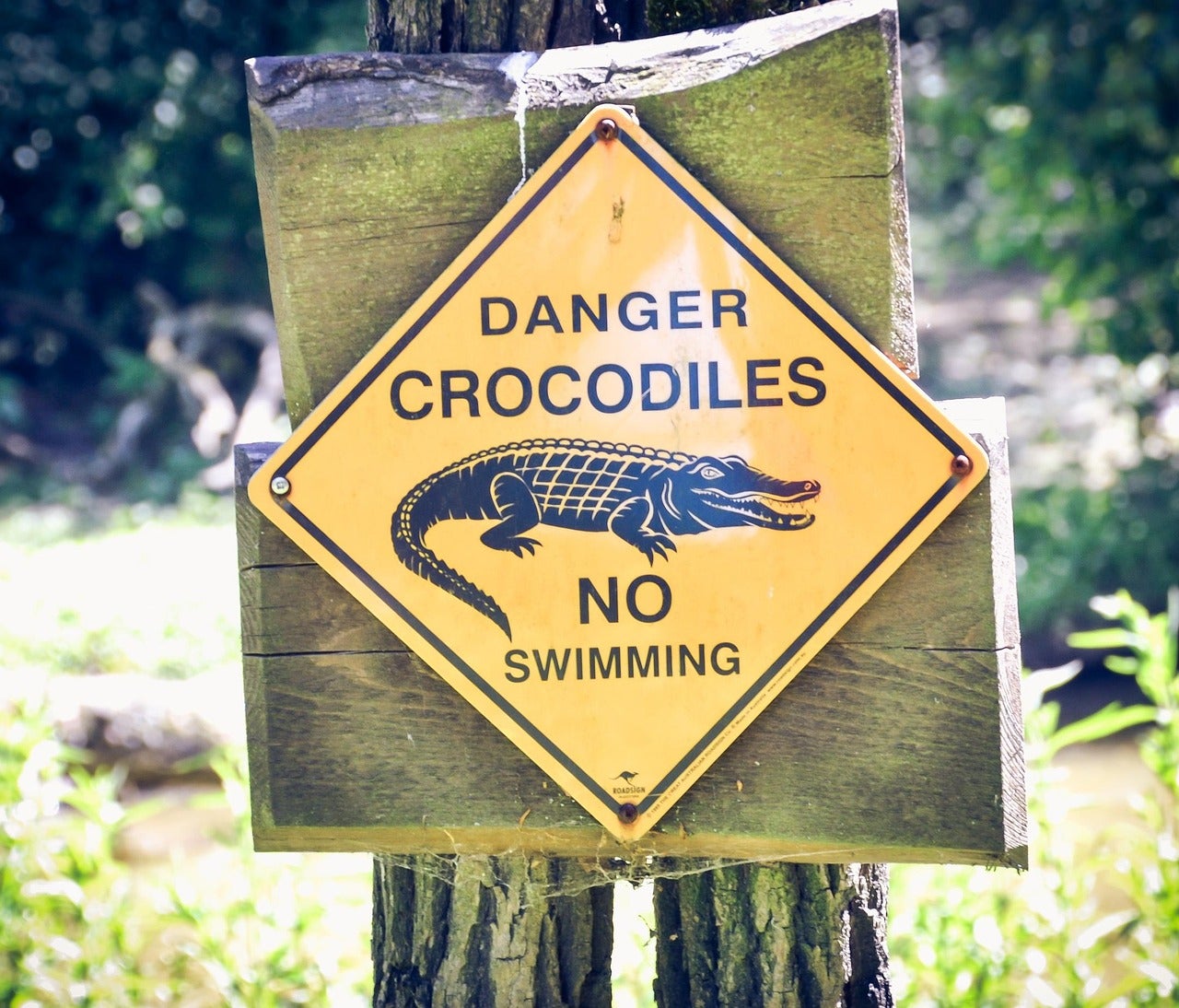 Killing an animal should never be a substitute for addressing the circumstances that made an attack possible.