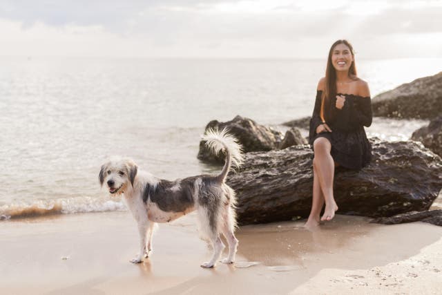 <p>A new study has found that dogs can slow down biological ageing among women (Alamy/PA)</p>