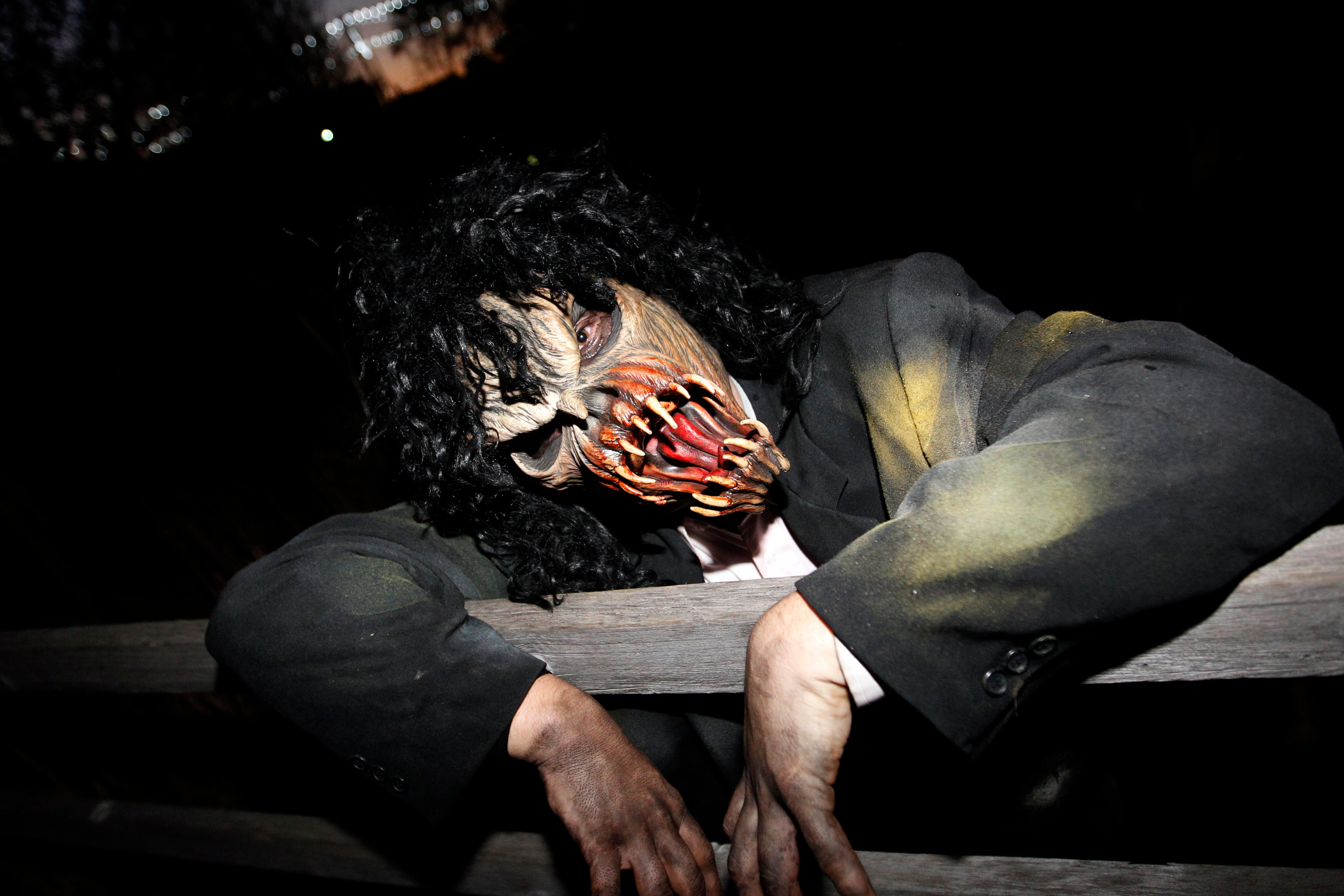 Thrillvania is described as a labyrinth of nightmares