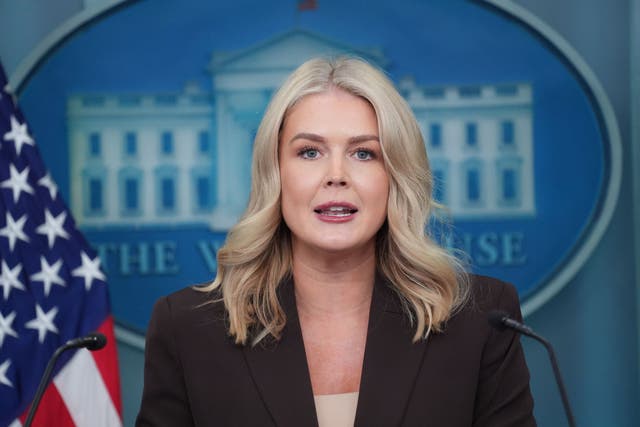 <p>White House Press Secretary Karoline Leavitt told Fox News that the Democratic Party’s voter base was made up of “Hamas terrorists, illegal aliens, and violent criminals’</p>