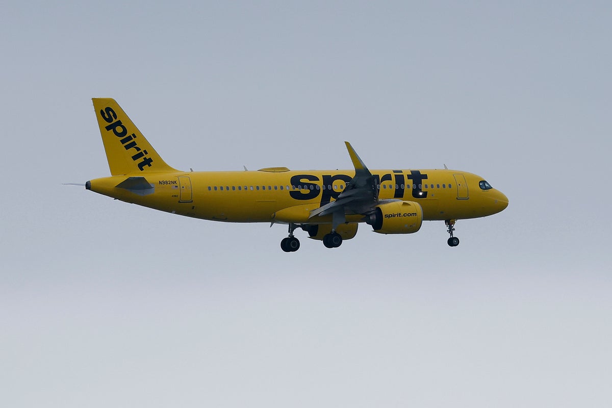 Delta and United adopted Spirit’s micro-transaction model that made discount airlines popular. It’s left Spirit struggling to survive